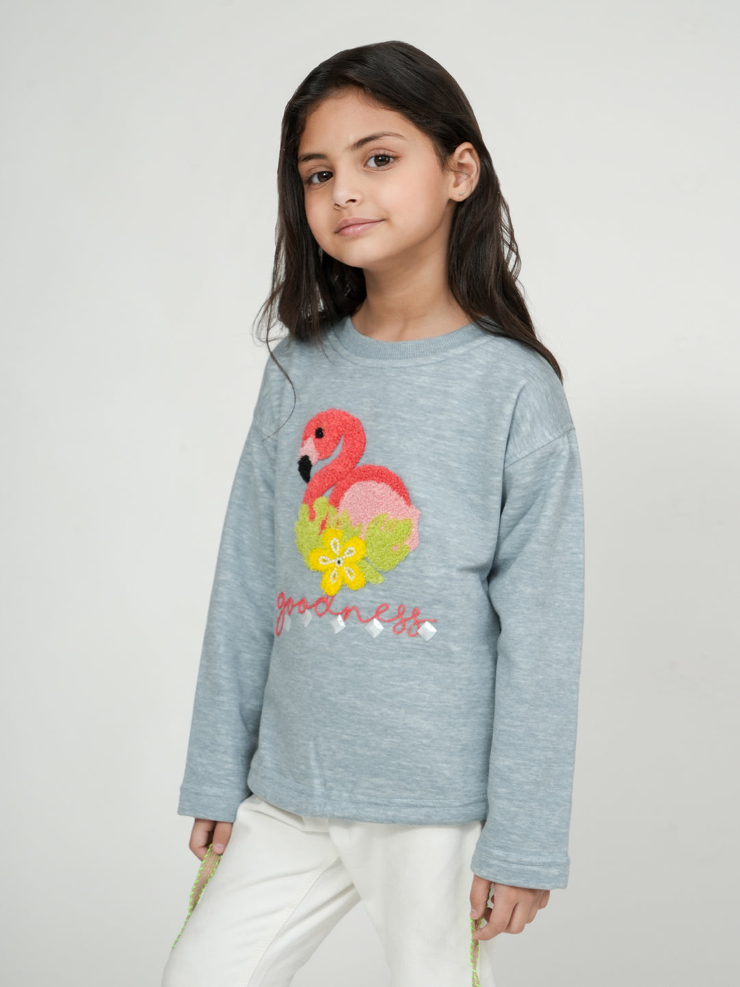 Pampolina grey Flamingo Embroidered Sweatshirt