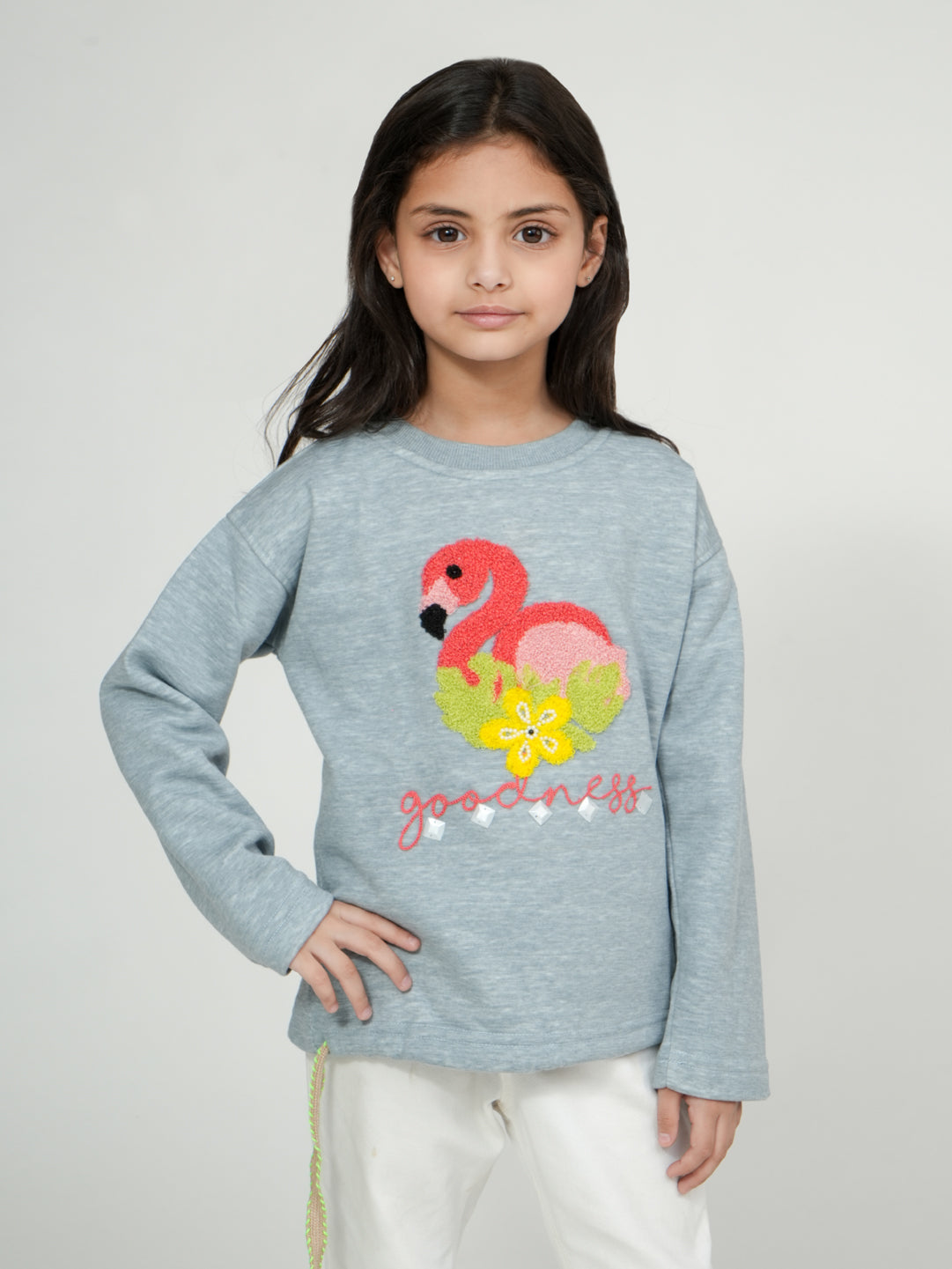 Pampolina grey Flamingo Embroidered Sweatshirt