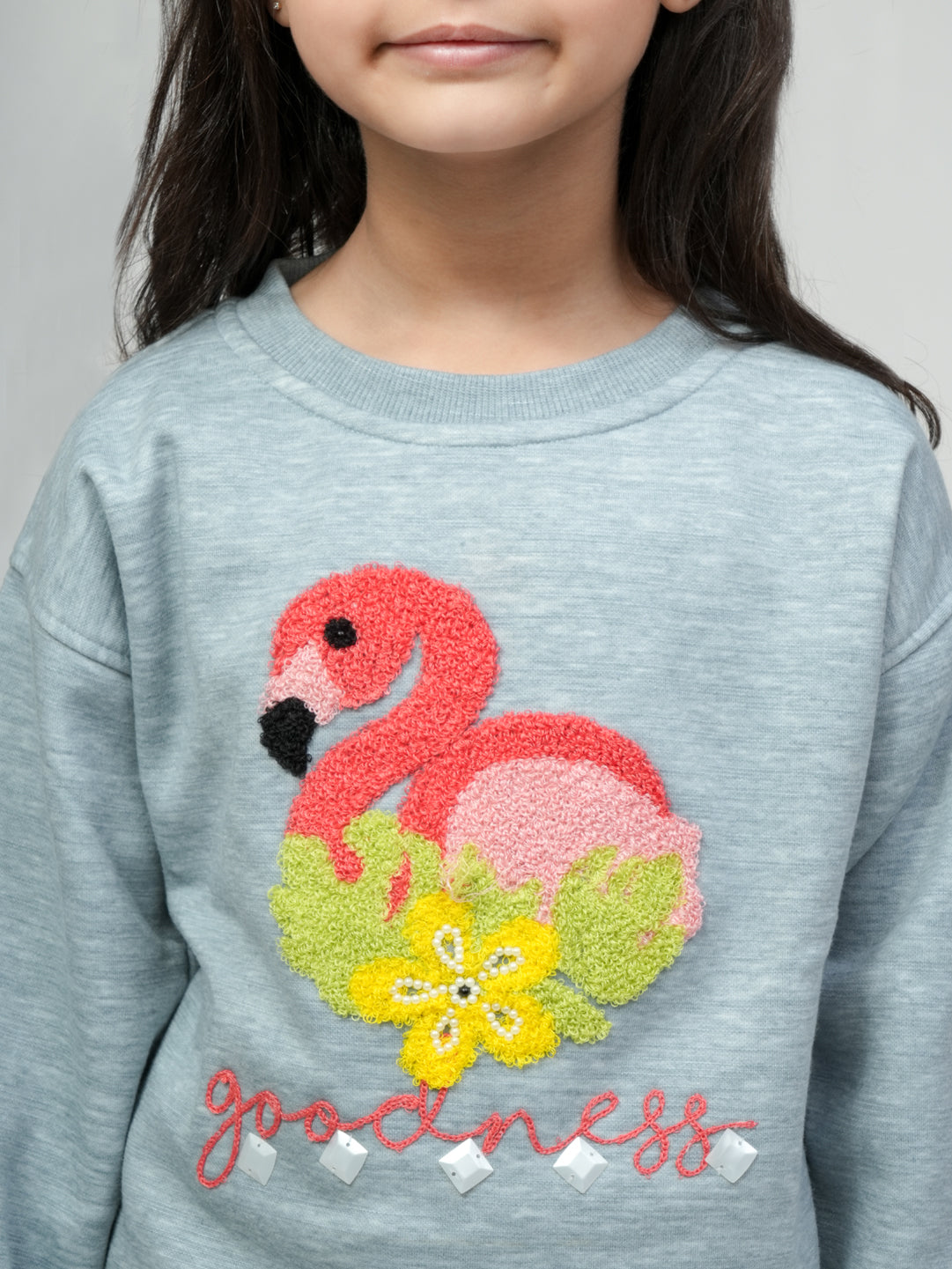 Pampolina grey Flamingo Embroidered Sweatshirt