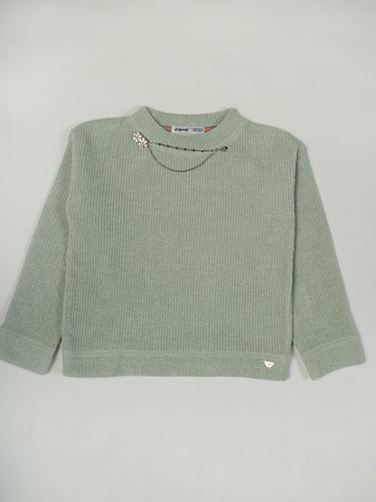 Pampolina C.Green Color Kids Sweatshirt