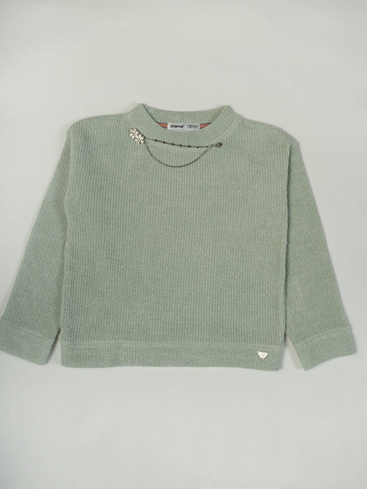 Pampolina C.Green Color Kids Sweatshirt