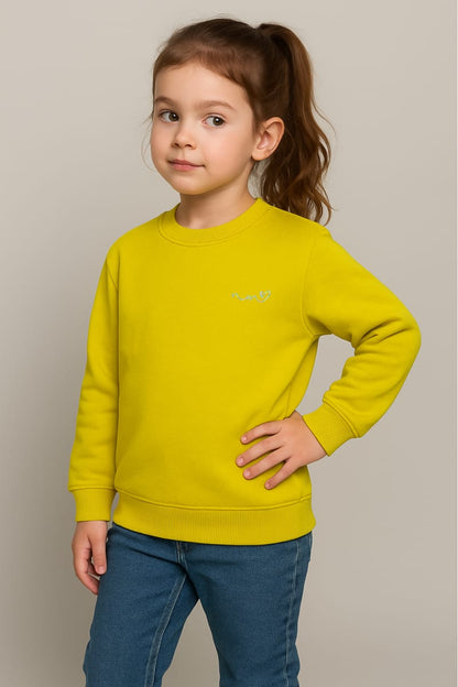 Vibrant Chartreuse Ribbed Knit Long-Sleeve Pullover Top